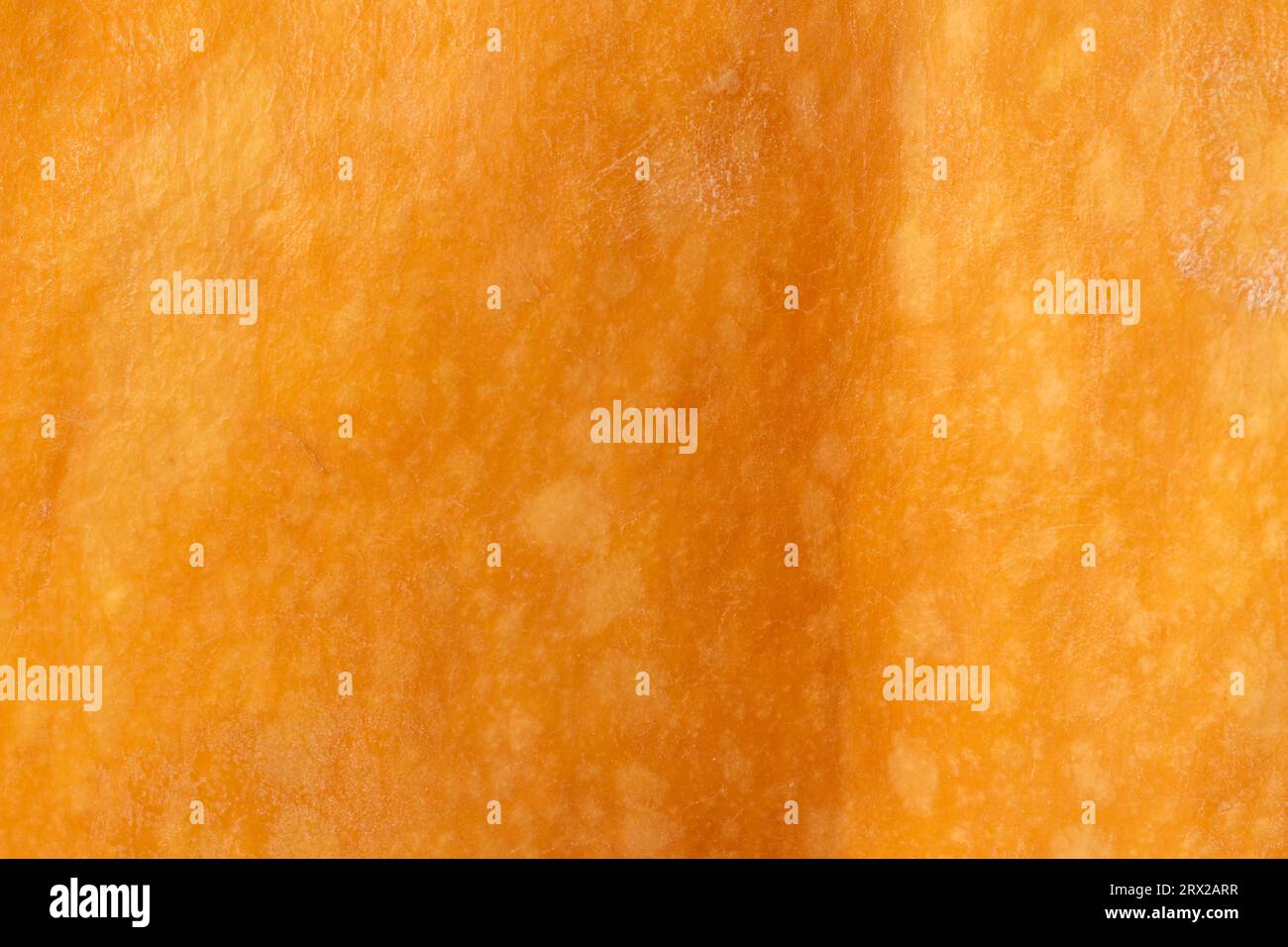 Abstrakter natürlicher Hintergrund: Nahaufnahme der orangen Kürbishautstruktur Stockfoto