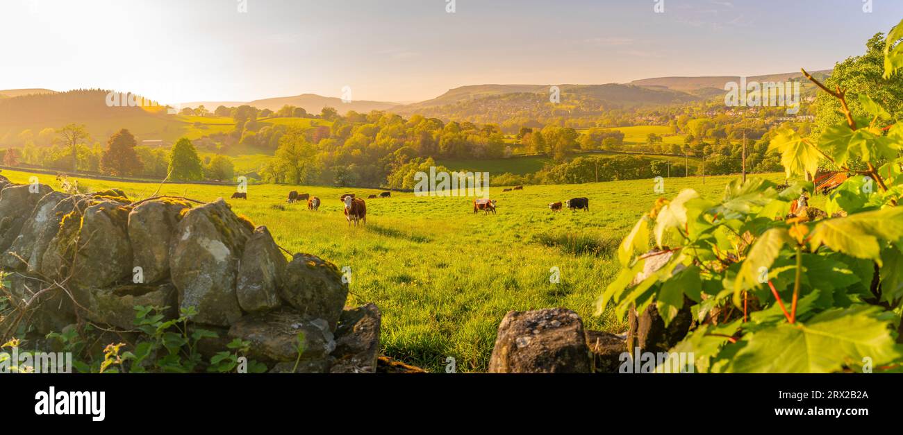 Blick auf die Landschaft in Richtung Hope Village im Frühjahr, Peak District National Park, Derbyshire, England, Großbritannien, Europa Stockfoto