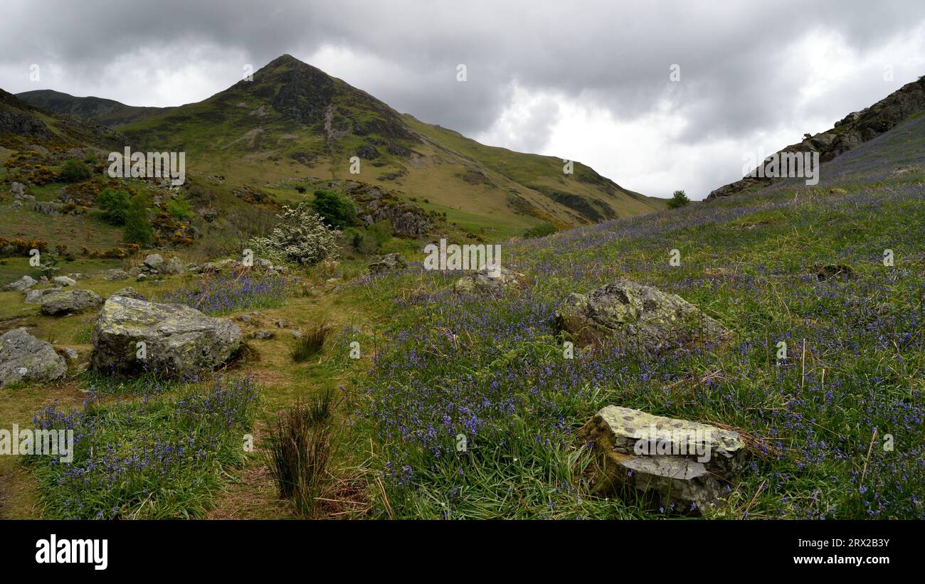 Sehen Sie das Rannerdale Valley mit Whiteless Pike in der Ferne Stockfoto