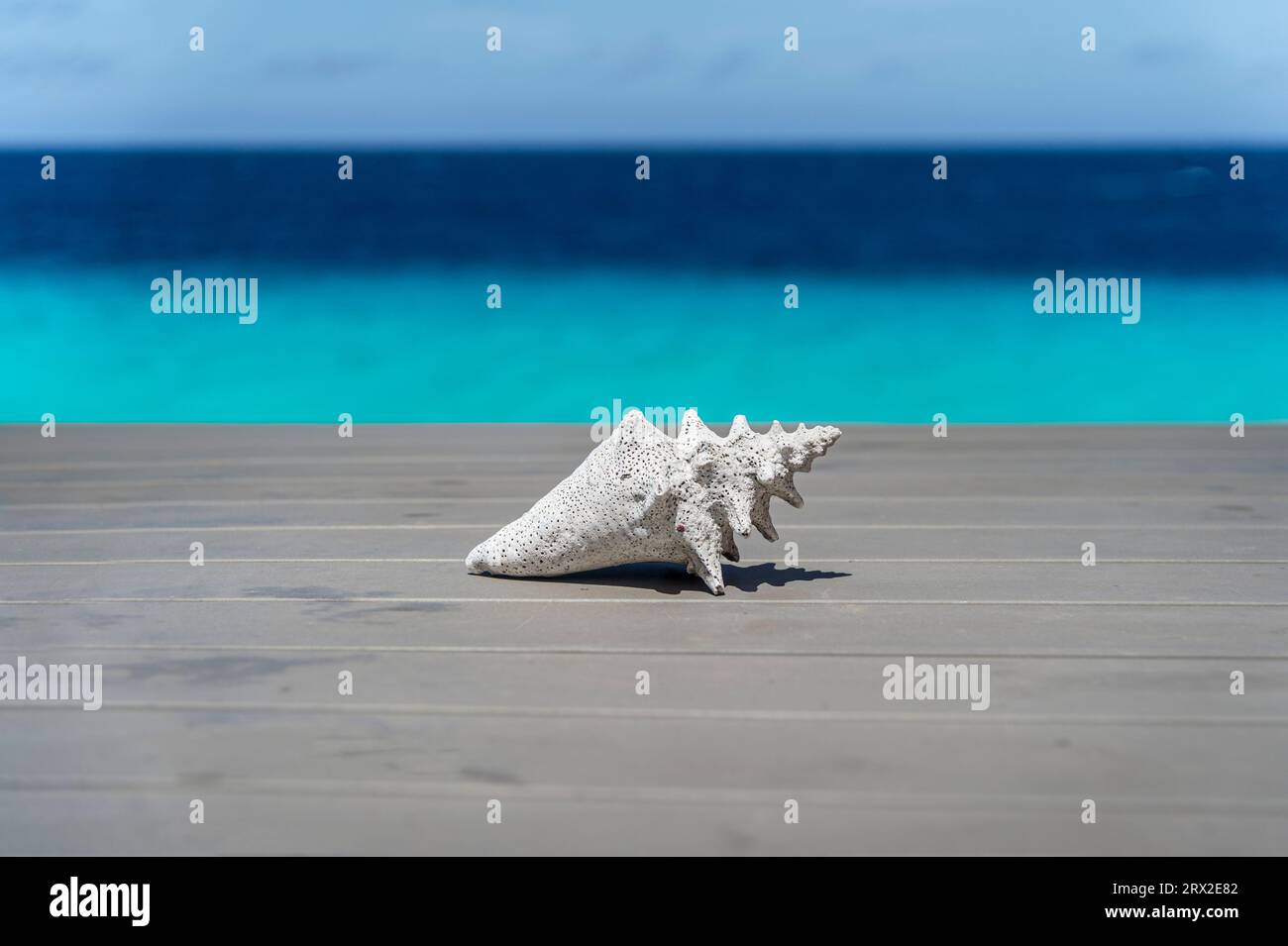 Gebleichte Schale auf verwittertem Tisch mit Ozean Curacao, niederländische Antillen, Karibik Stockfoto