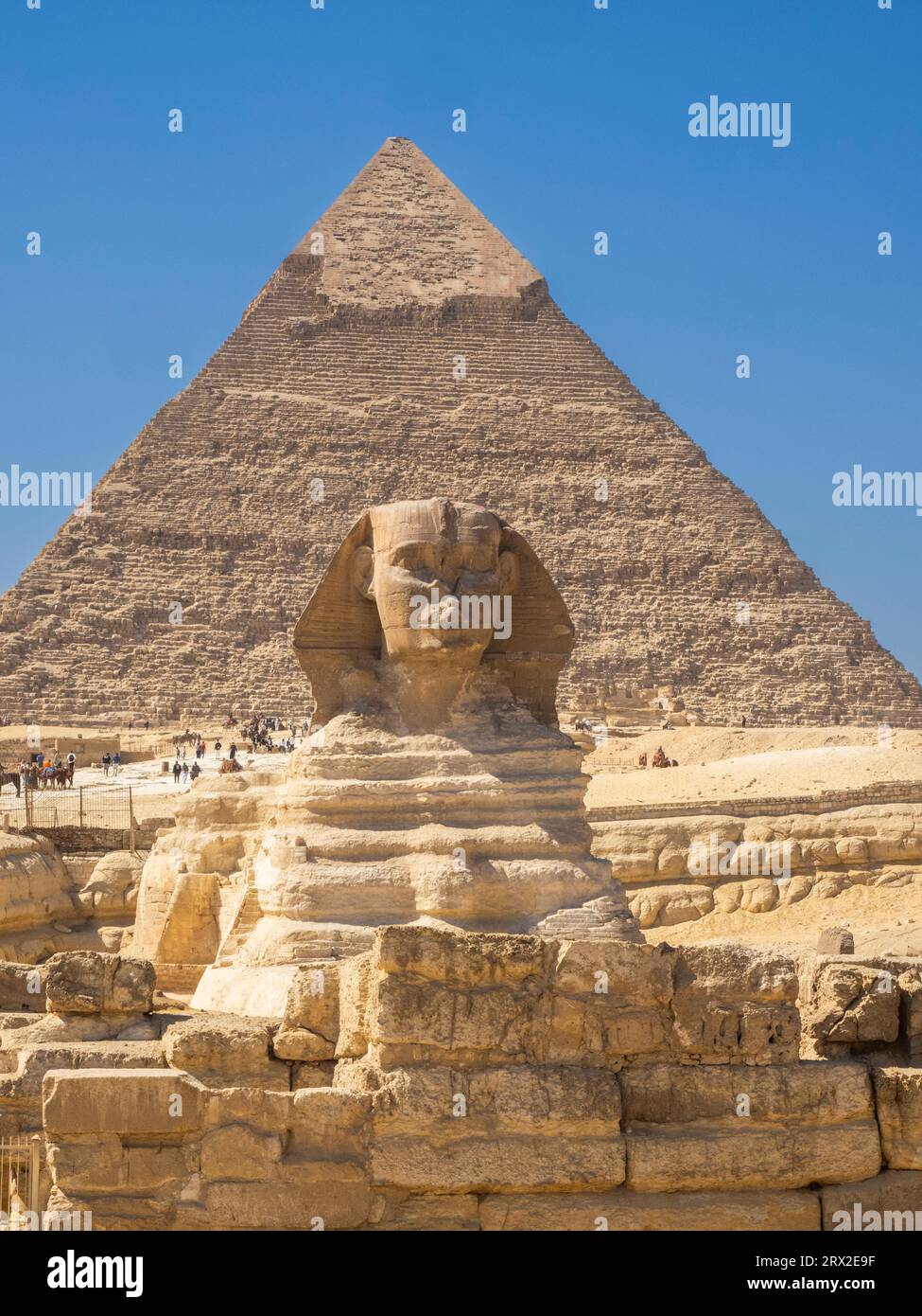 Die große Sphinx von Gizeh, eine Kalksteinstatue einer liegenden Sphinx, UNESCO-Weltkulturerbe, Gizeh-Plateau, Westufer des Nils, Kairo, Ägypten Stockfoto
