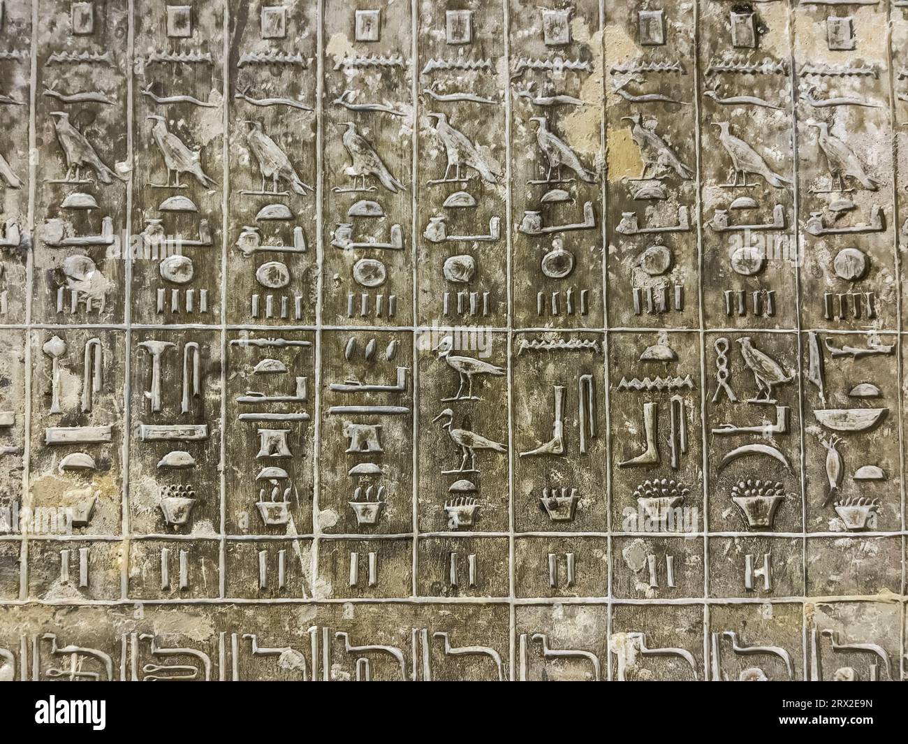 Relief von einem Grab in Sakkara, Teil der Memphite Nekropolis, UNESCO-Weltkulturerbe, Ägypten, Nordafrika Afrika Stockfoto