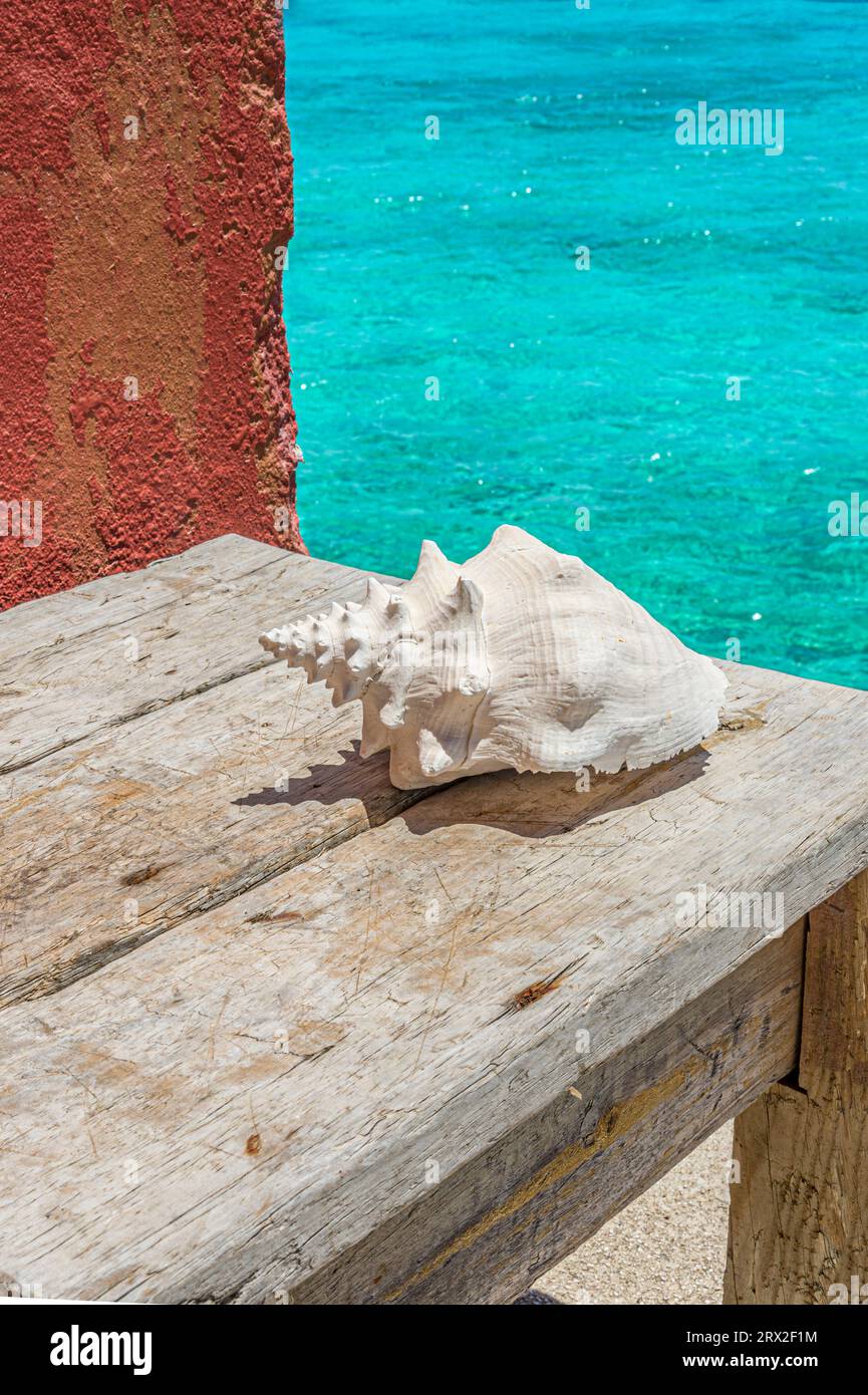Gebleichte Schale auf verwittertem Tisch, Curacao, niederländische Antillen, Karibik Stockfoto
