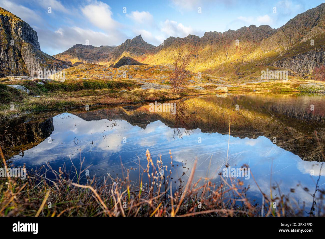 Herbstfarben über Bergen, die sich im Meer widerspiegeln, A i Lofoten, Moskenes, Lofoten-Inseln, Nordland, Norwegen, Skandinavien, Europa Stockfoto