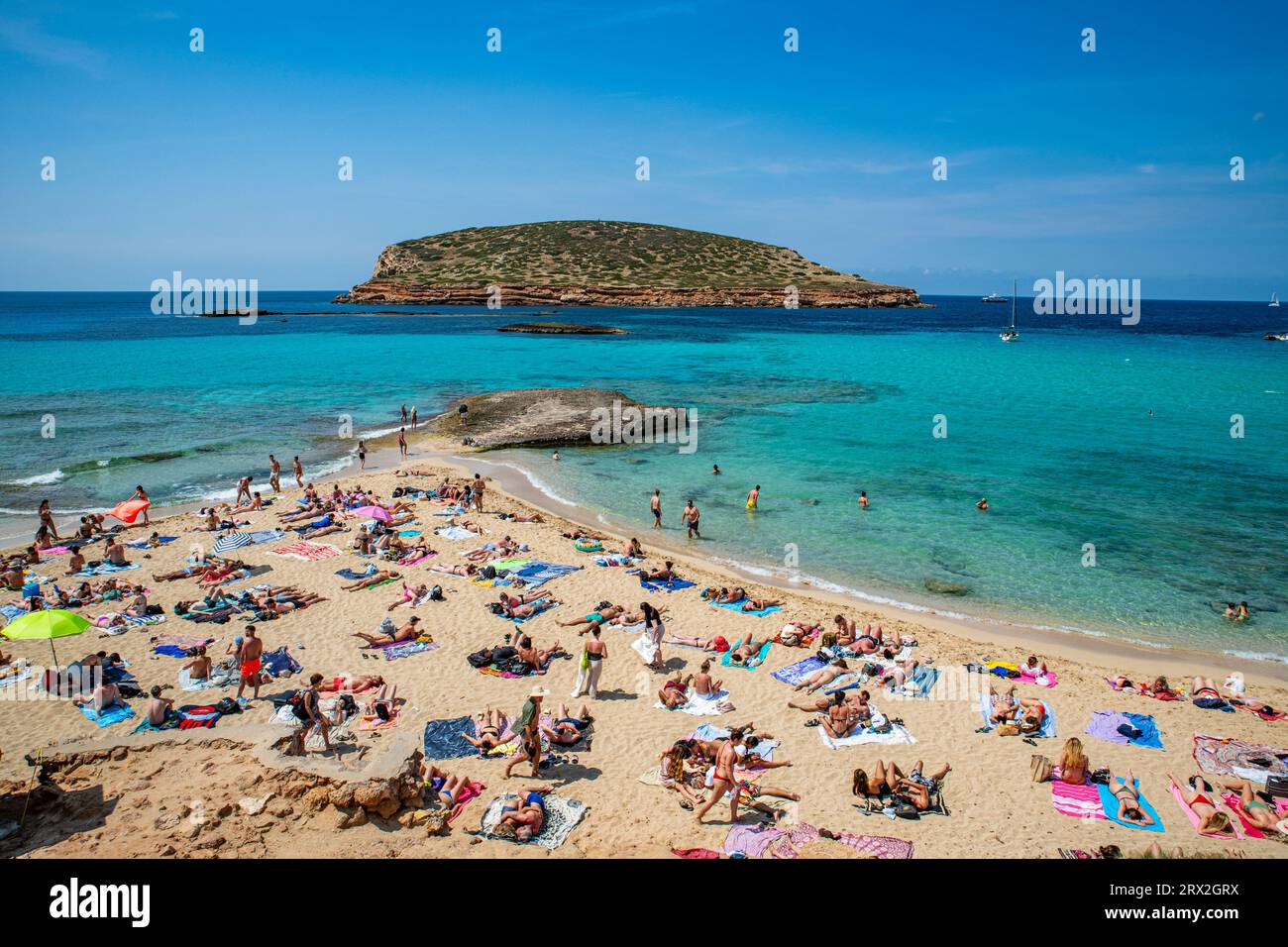 Comte Strand mit türkisfarbenem Wasser, Ibiza, Balearen, Spanien, Mittelmeer, Europa Stockfoto