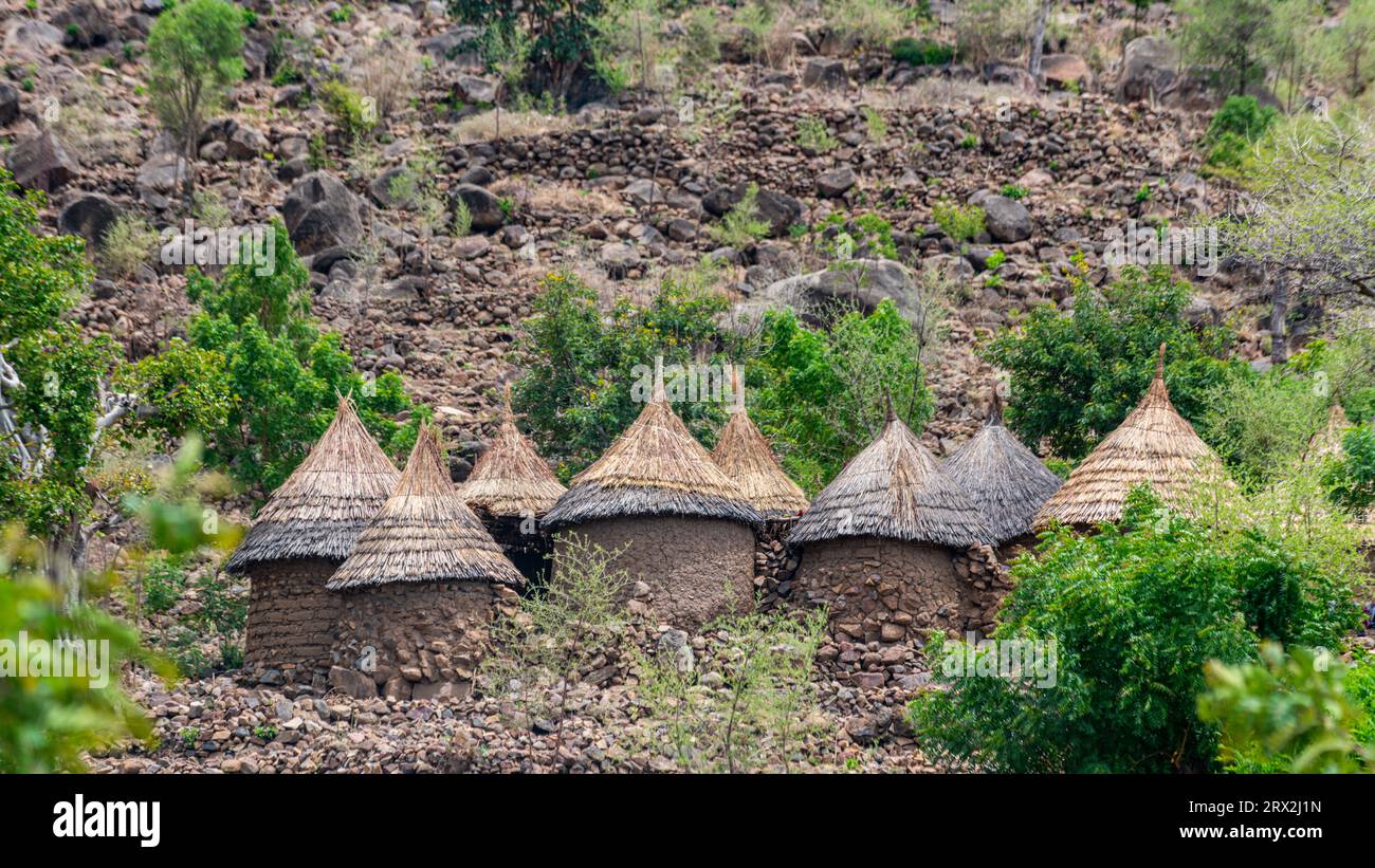 Traditionelle Hütten an der Grenze von Nigeria, Nordkamerun, Afrika Stockfoto