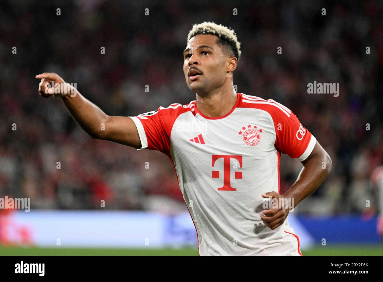 München, Deutschland. September 2023. Fussball; Spieltag 01; Spieltag 01; Gruppenphase; Gruppenphase; Gruppenphase; Gruppe A, Gruppe A; UEFA Champions League; Saison 2023/2024; Saison 2023/2024; Bayern München gegen Manchester United am 20.09.2023 in München. UBz: 07 Serge Gnabry, Bayern München. Feiert sein Tor zum 2:0. Quelle: dpa/Alamy Live News Stockfoto