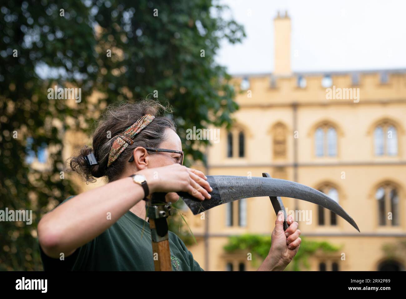 Trinity Fellow Professor Marian Holness schärft ihre Sense, während sie im Meadow Circle am New Court des Trinity College in Cambridge Wildblumen mähen. Das Mähen, oder das Abschälen, ist eine jahrhundertealte Tradition, von der angenommen wird, dass sie in Trinity vor den Rasenmähern praktiziert wurde. Bilddatum: Freitag, 22. September 2023. Stockfoto