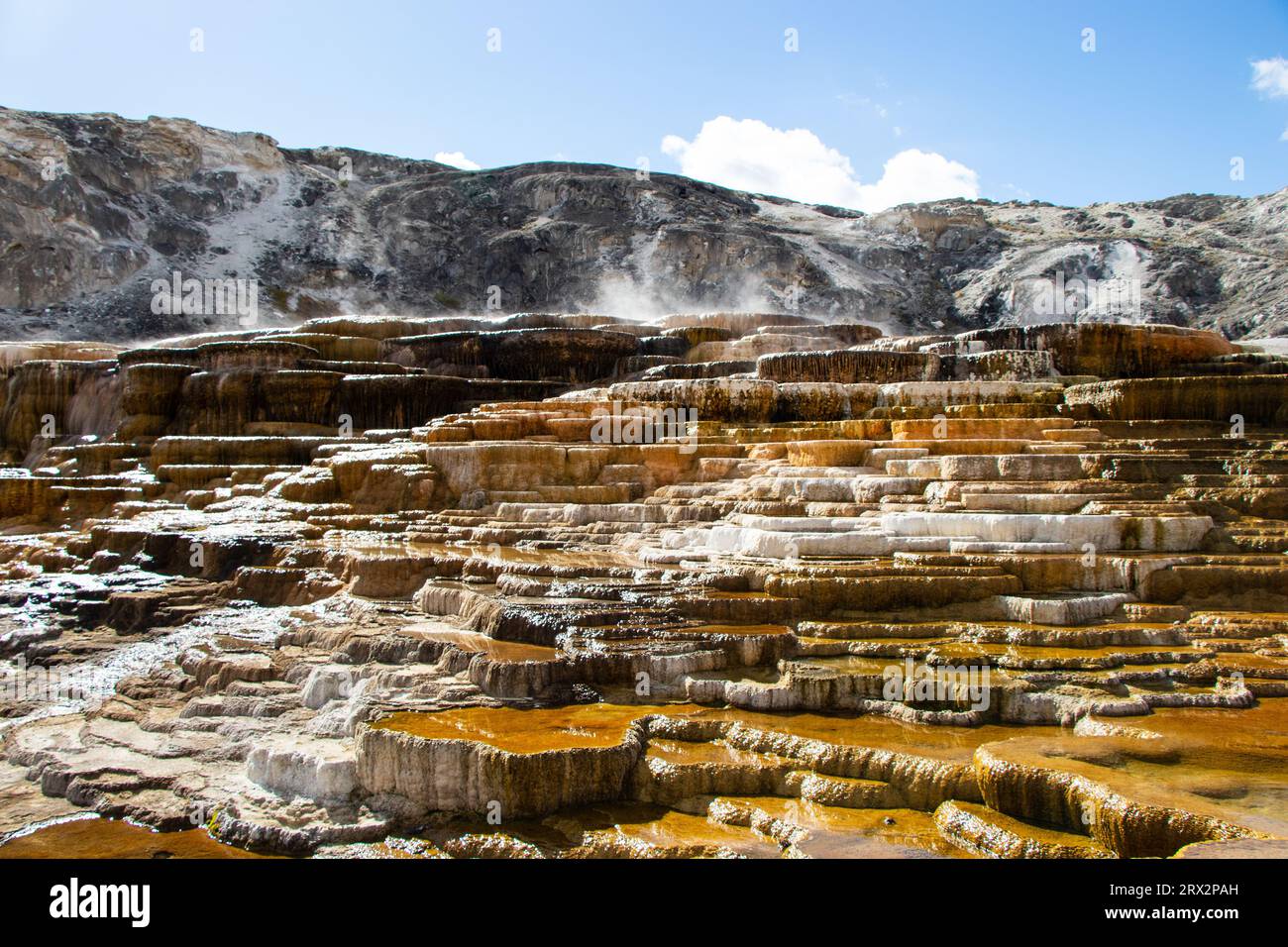 Mammoth Hot Springs im Yellowstone-Nationalpark Stockfoto