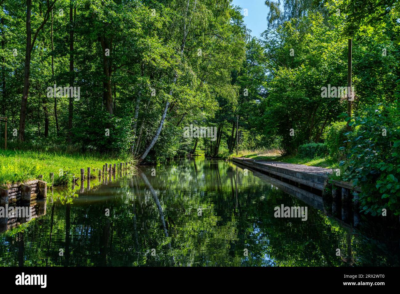 Wasserkanal, UNESCO Biosphärenreservat, Spreewald, Brandenburg, Deutschland, Europa Stockfoto