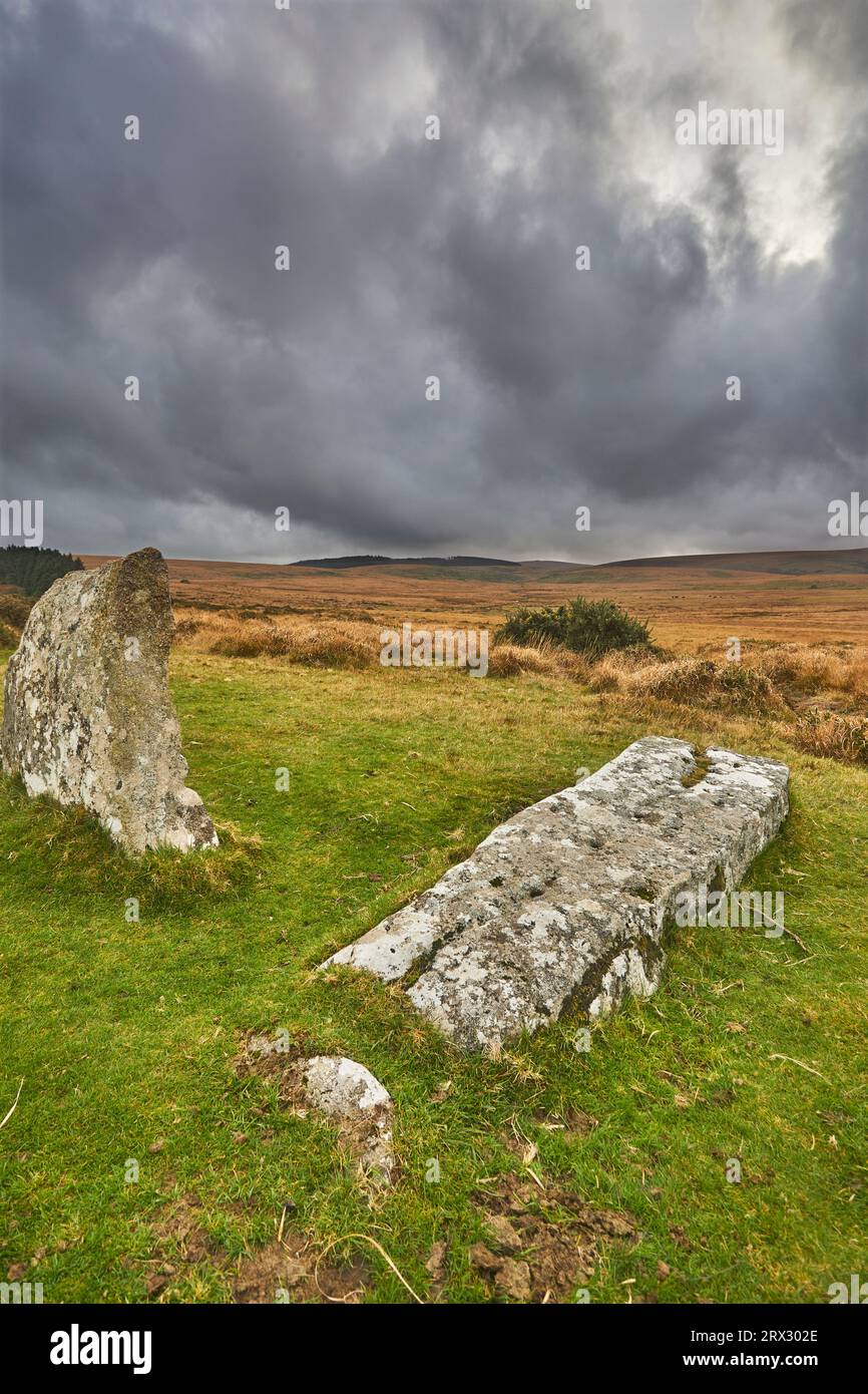Scorhill Stone Circle, antike Steine in einem prähistorischen Steinkreis, auf offenem Moorland, Scorhill Down, in der Nähe von Chagford, Dartmoor National Park, Devon Stockfoto