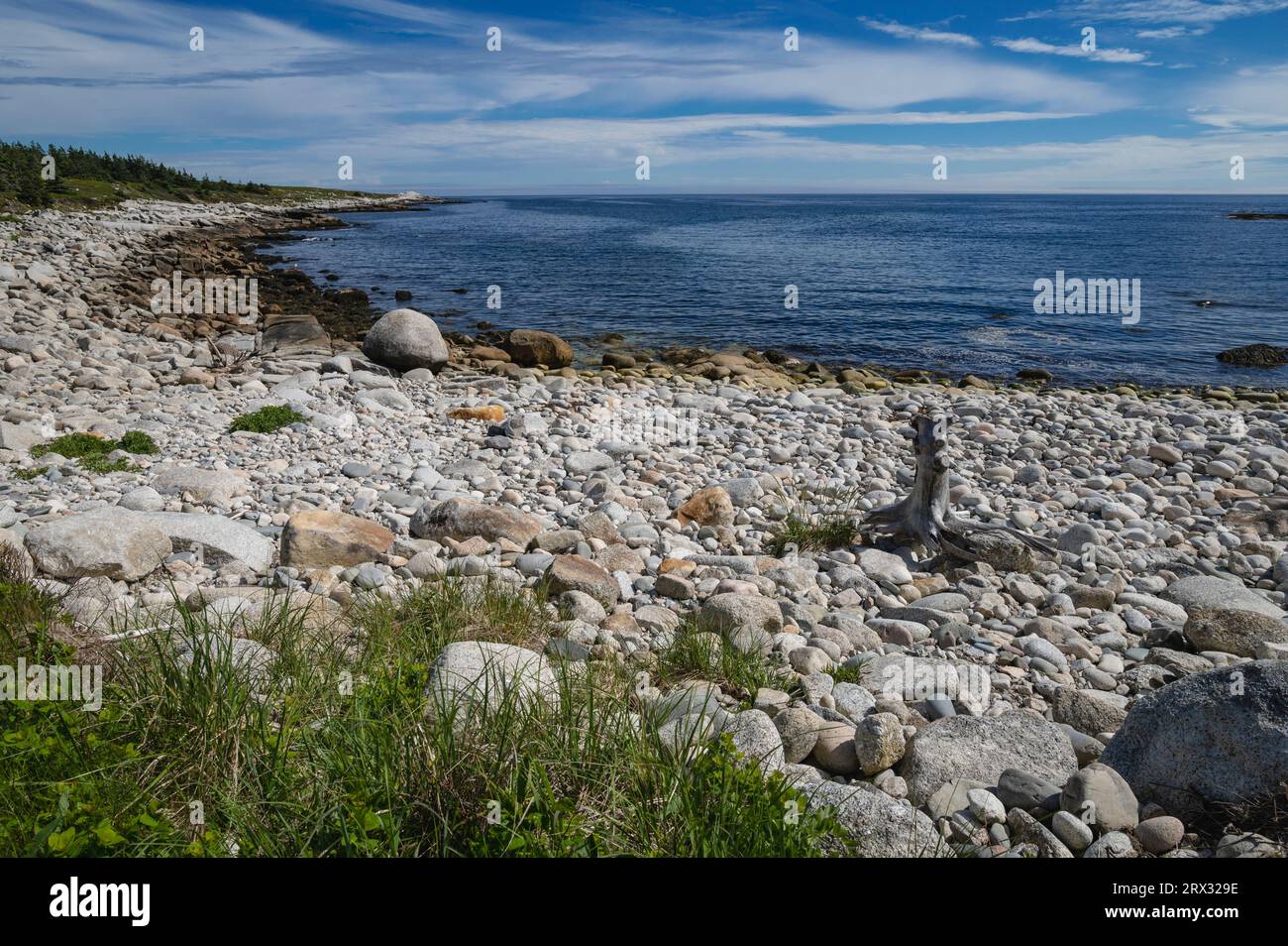 Felsige Küste am Atlantik, Dr. Bill Freedman Nature Preserve, Nature Conservancy of Canada, Nova Scotia, Kanada, Nordamerika Stockfoto