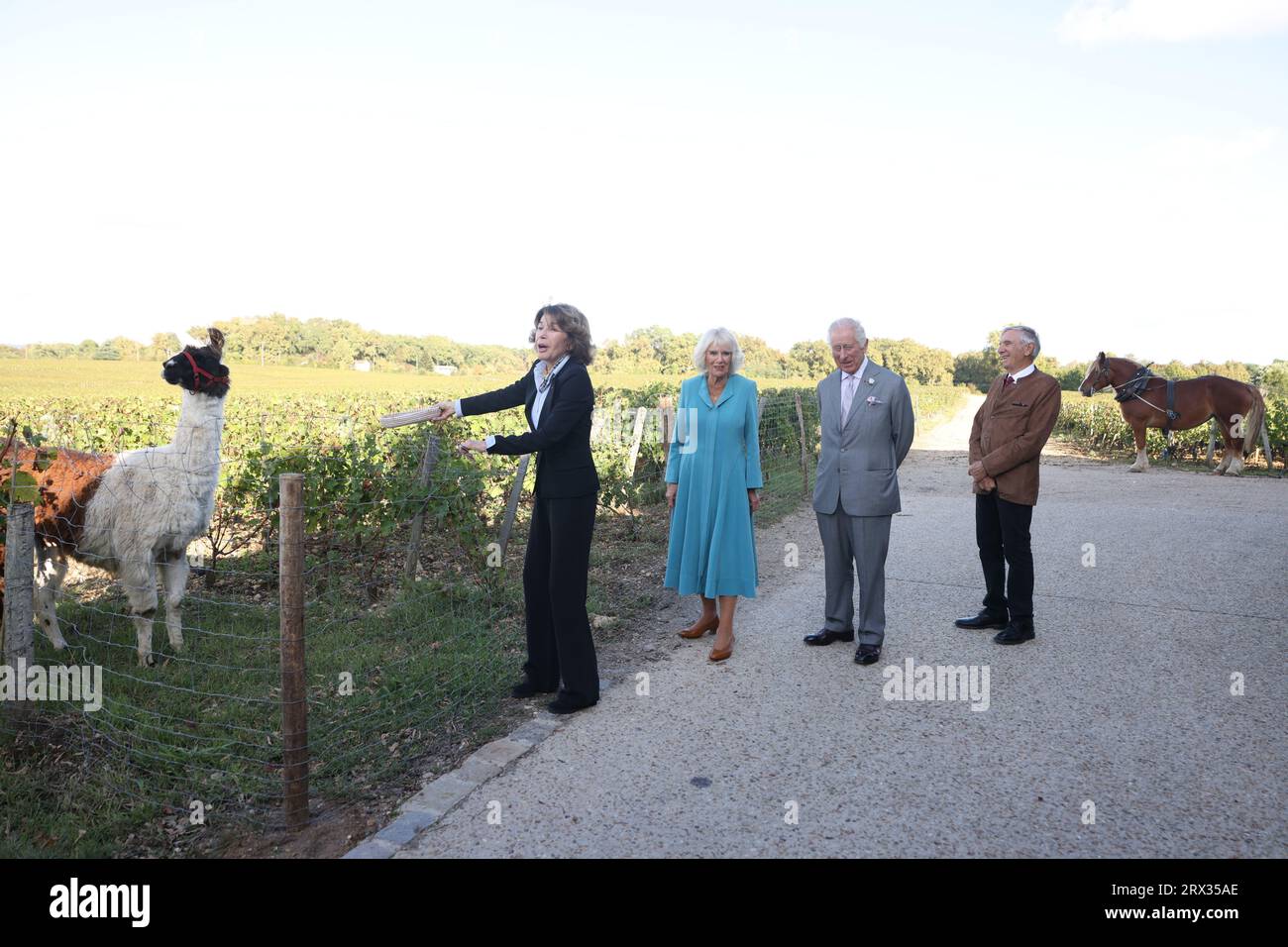 König Karl III. Und Königin Camilla bei einem Besuch des Chateau Smith Haut Lafitte Weinbergs in Bordeaux, um mehr über nachhaltige Weinbergsmethoden in der Weinregion Bordeaux zu erfahren, am dritten Tag des Staatsbesuchs in Frankreich. Bilddatum: Freitag, 22. September 2023. Stockfoto