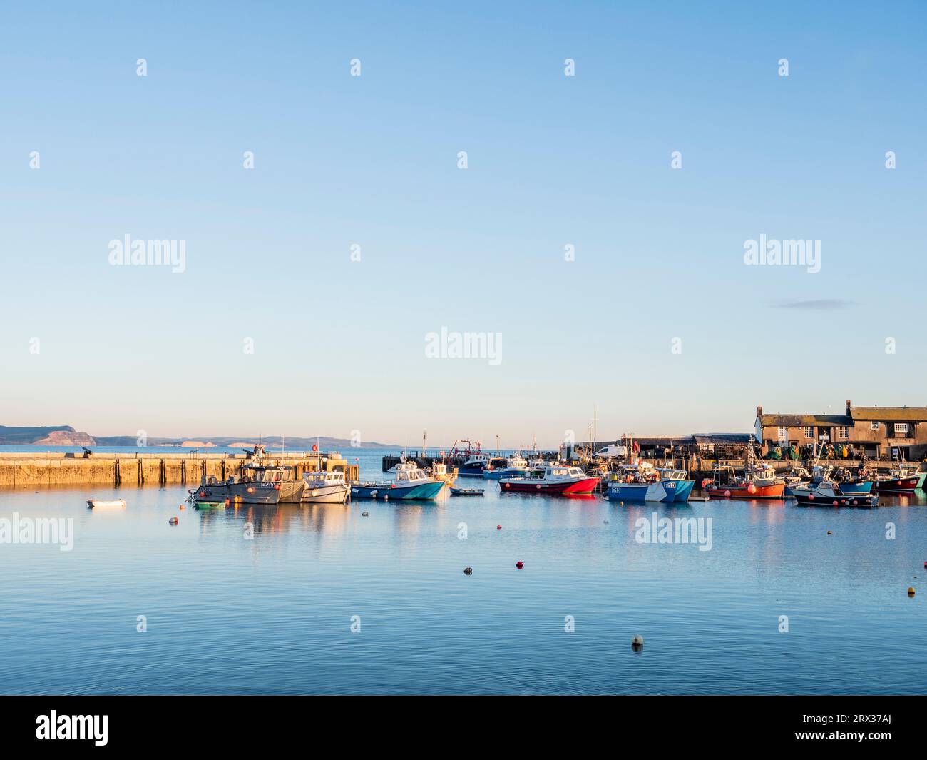 Abends mit angelegten Booten, Hafen, Lyme Regis, Dorset, England, Vereinigtes Königreich, Europa Stockfoto