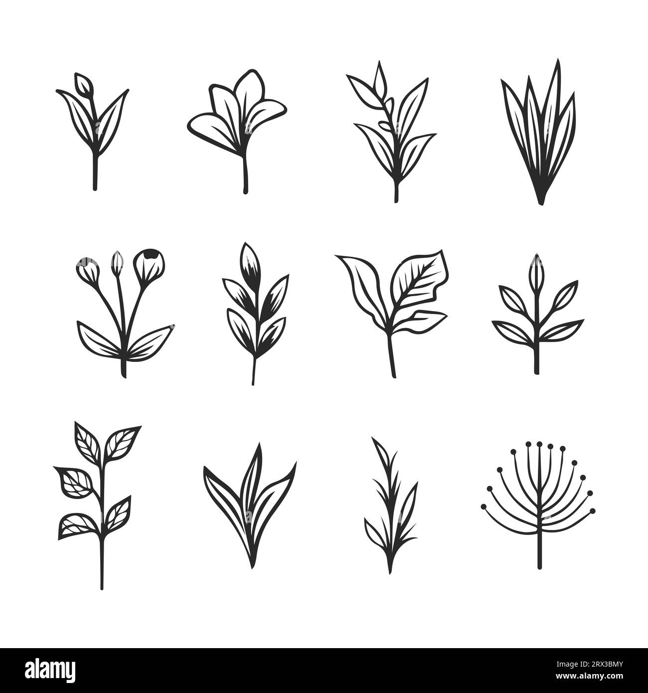 Kritzelstil Vektor-Illustration. Satz einfacher Elemente von Pflanzen. Pflanzenzweige, Blätter. Handgezeichnete einfache Symbole. Stock Vektor