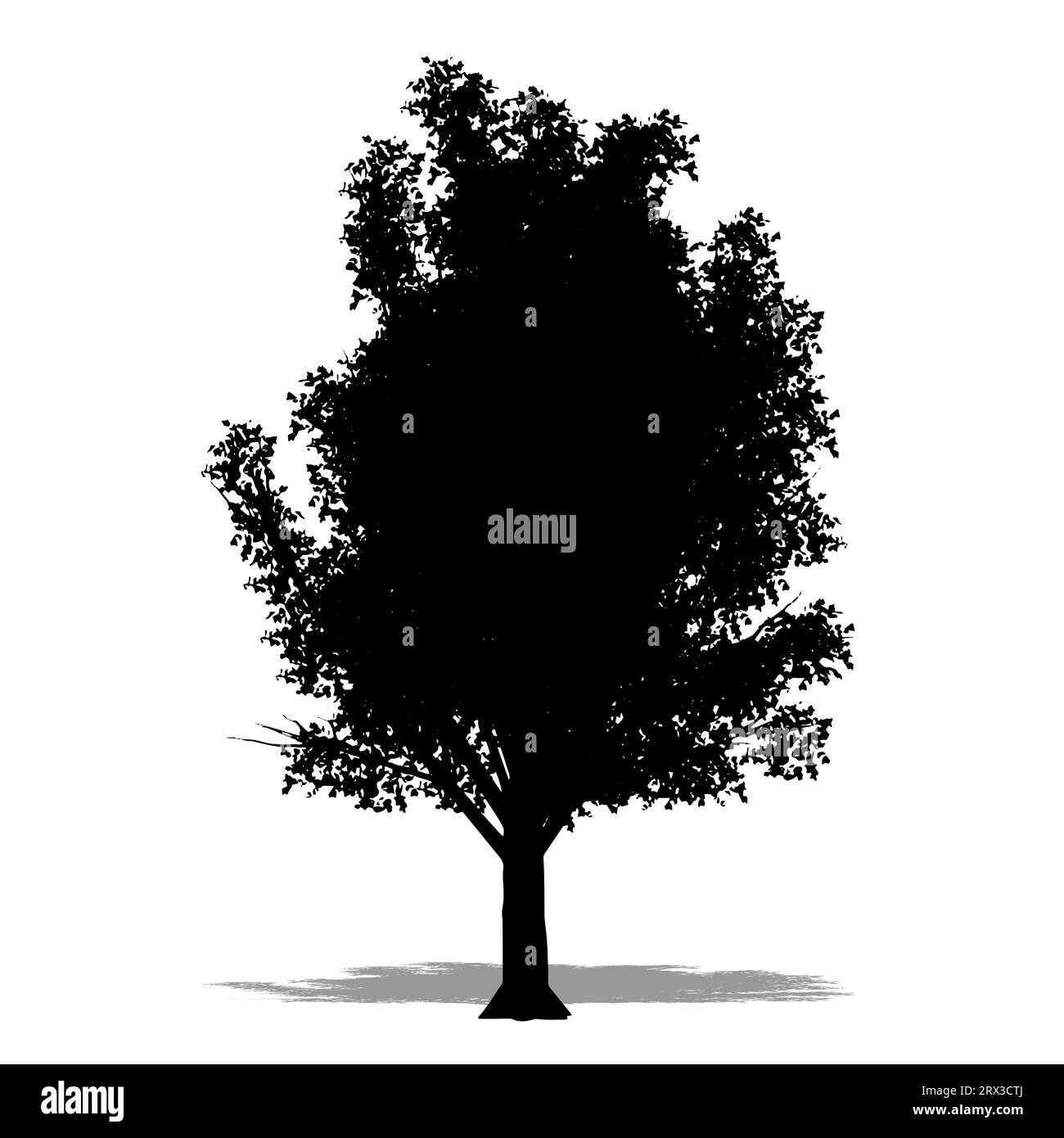 Set oder Sammlung von Crab Apple Tree als schwarze Silhouette auf weißem Hintergrund. Konzept oder konzeptionelle 3D-Illustration für Natur, Planet, Ökologie und Stockfoto