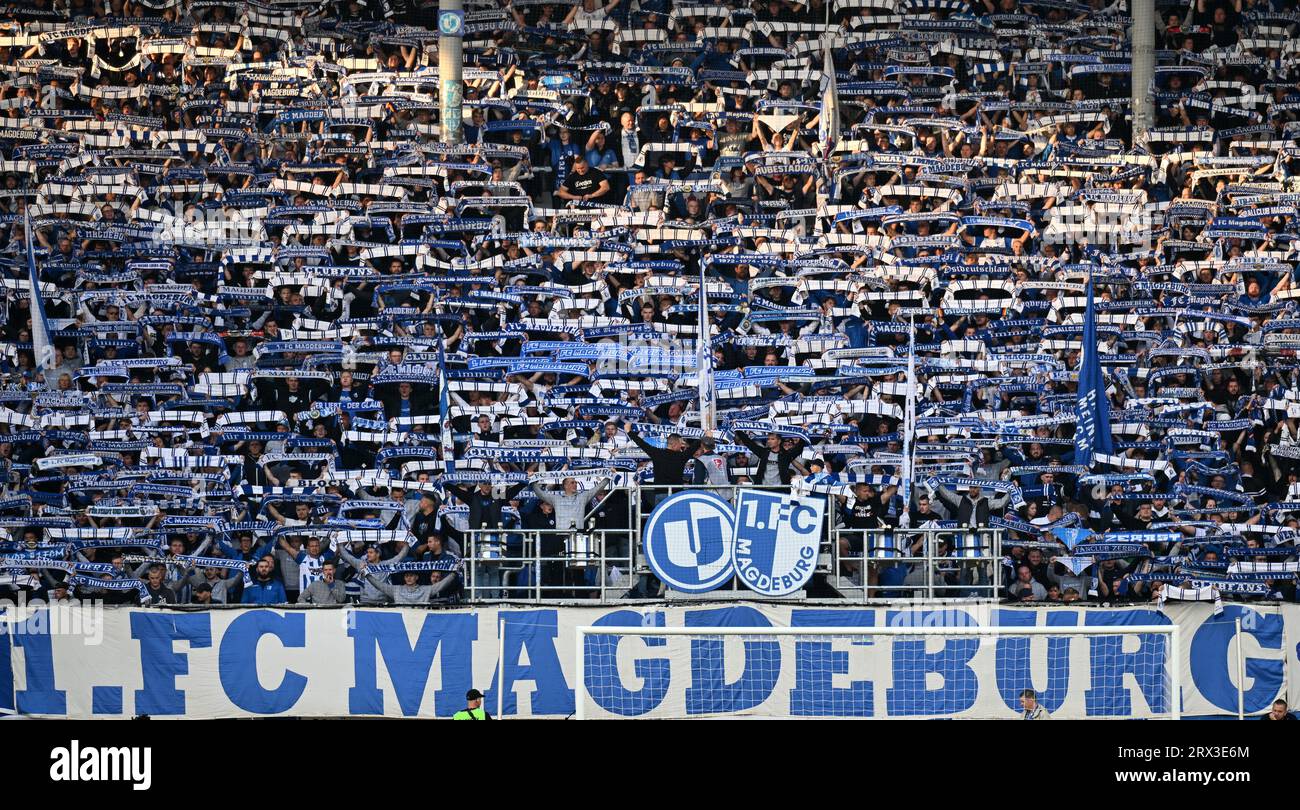 Magdeburg, Deutschland. September 2023. Fußball: 2. Bundesliga, 1. FC Magdeburg - SC Paderborn 07, 7. Spieltag, MDCC-Arena: Magdeburger Fans unterstützen ihr Team von der Tribüne aus. Kredit: Hendrik Schmidt/dpa - WICHTIGER HINWEIS: gemäß den Anforderungen der DFL Deutsche Fußball Liga und des DFB Deutscher Fußball-Bund ist es untersagt, im Stadion und/oder im Spiel aufgenommene Fotografien in Form von Sequenzbildern und/oder videoähnlichen Fotoserien zu nutzen oder nutzen zu lassen./dpa/Alamy Live News Stockfoto