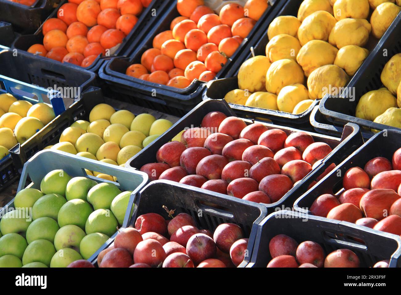 Kisten mit frischen bunten Äpfeln, Quitten und Kakerlaken. Stockfoto