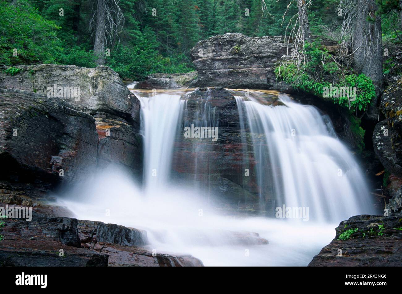 Fällt auf Virginia Creek, Glacier National Park, Montana Stockfoto