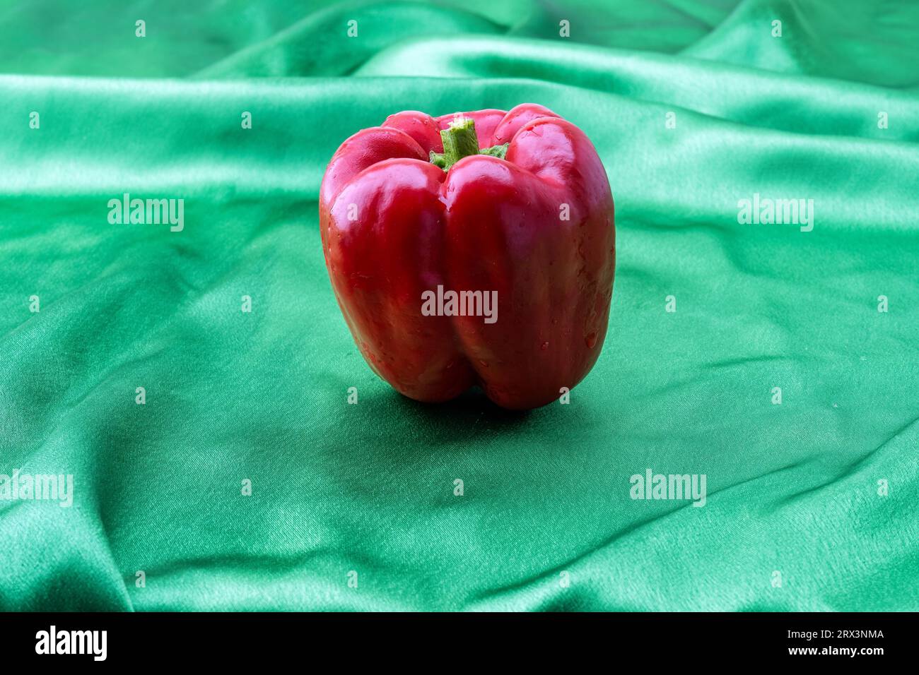 Eine leuchtend rote süße Paprika steht vor einem üppigen grünen Hintergrund im Mittelpunkt. Ihre lebendige Farbe bildet einen schönen Kontrast zum leuchtenden Grün. Stockfoto