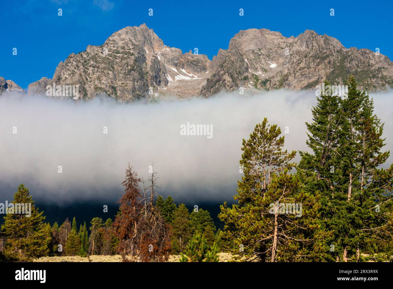 Tief liegende Wolken und Nebel verwüsten die Grand Tetons im frühen Morgenlicht. Dieser Berg ist der jüngste der Rocky Mountain Ranges. Stockfoto