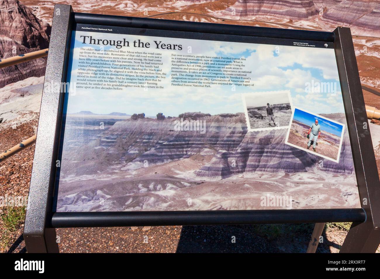 Blue Mesa-Gebiet der Painted Desert im Petrified Forest National Park in Arizona. Erstmals 1906 als Nationaldenkmal errichtet. Stockfoto