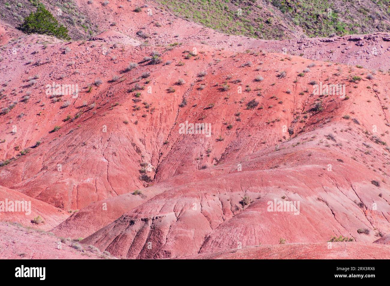 Painted Desert Landschaften in den Petrified Forest Nationalpark in Arizona. Zuerst als National Monument, 1906 durch Präsident Theodore Roo etabliert Stockfoto