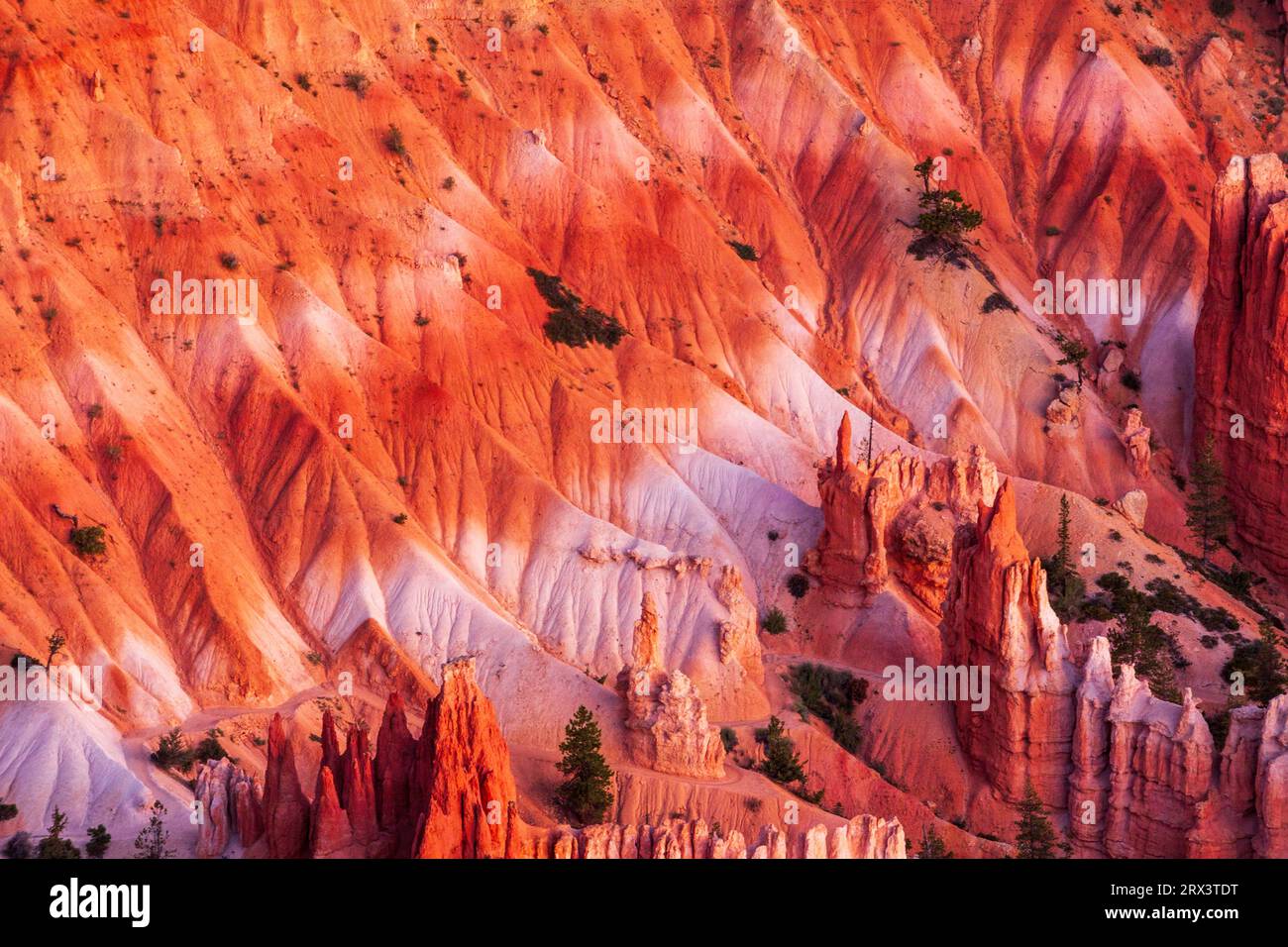 Sonnenaufgang am Bryce Point, Bryce Canyon National Park in Utah. Einer der besten Aussichtspunkte auf das "stille Stadt" Hoodoos, Bryce Point ist eine gute Site f Stockfoto