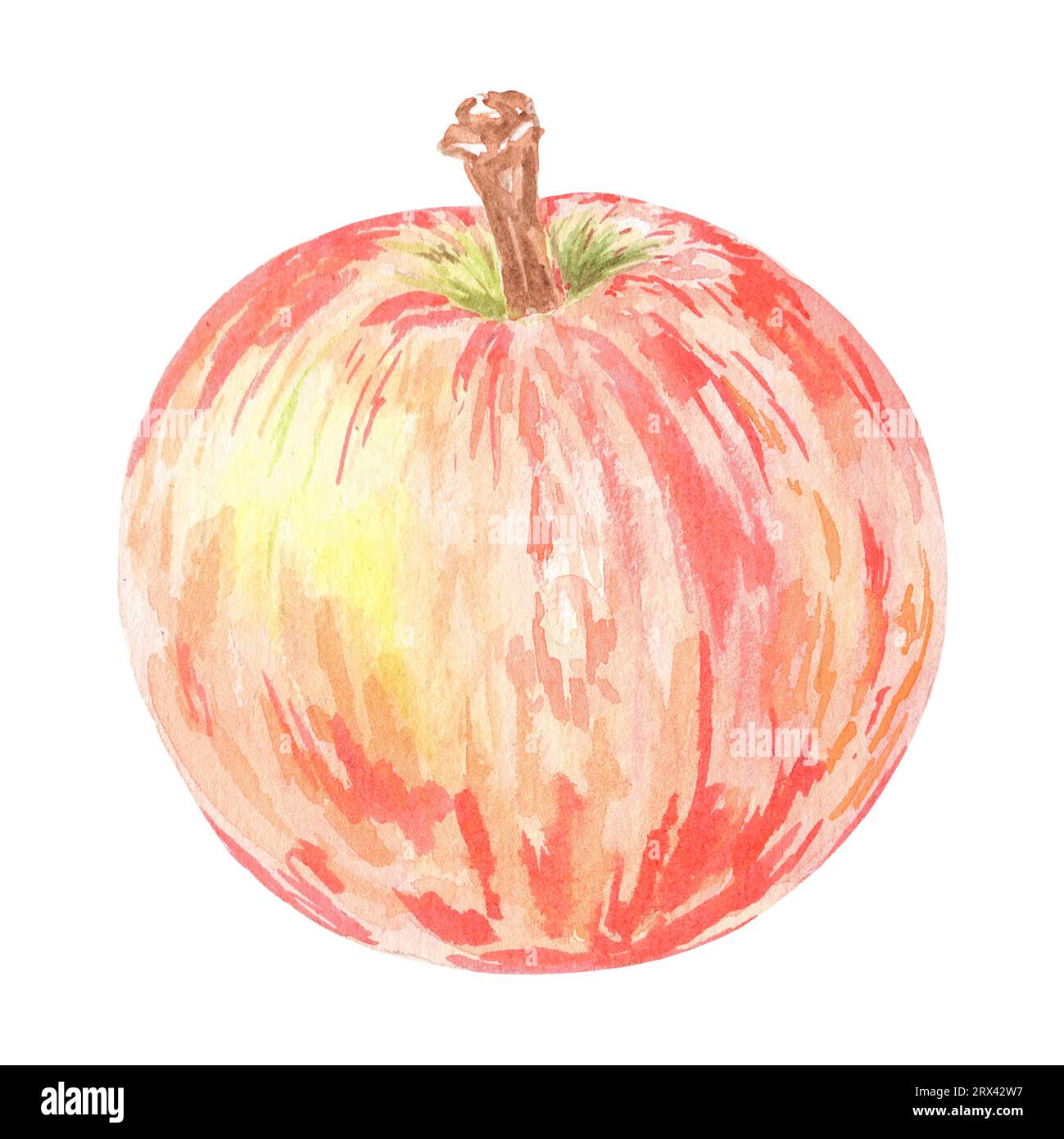 Aquarell roter Apfel isolierte Illustration auf weißem Hintergrund. Herbstfrucht für Logo, Menü, Poster, Muster. Kunst für Design. Gesunde Ernährung Stockfoto