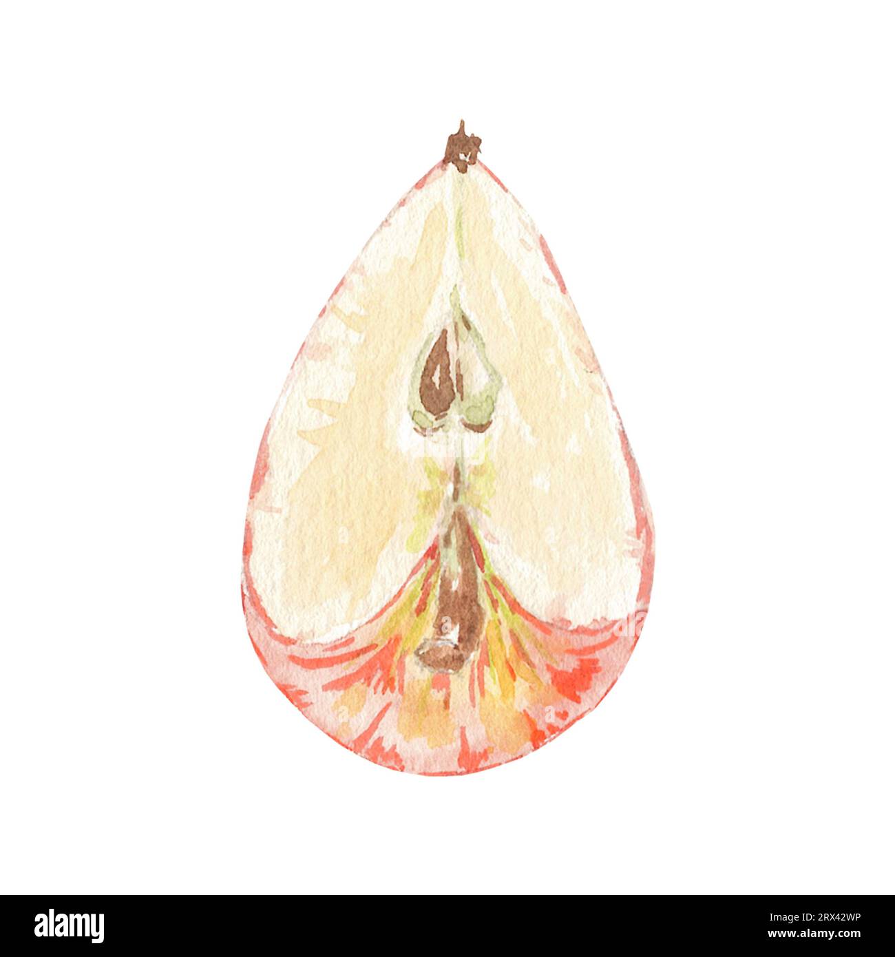 Aquarellrot eine halbe Apfelscheibe isolierte Illustration auf weißem Hintergrund. Herbstfrucht für Logo, Menü, Poster, Muster. Kunst für Design. Gesund Stockfoto