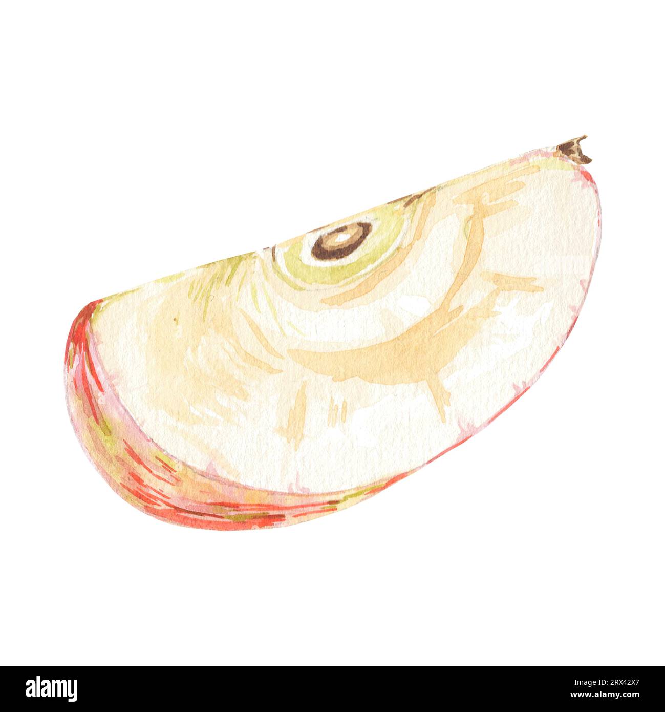Aquarellrot eine halbe Apfelscheibe isolierte Illustration auf weißem Hintergrund. Herbstfrucht für Logo, Menü, Poster, Muster. Kunst für Design. Gesund Stockfoto
