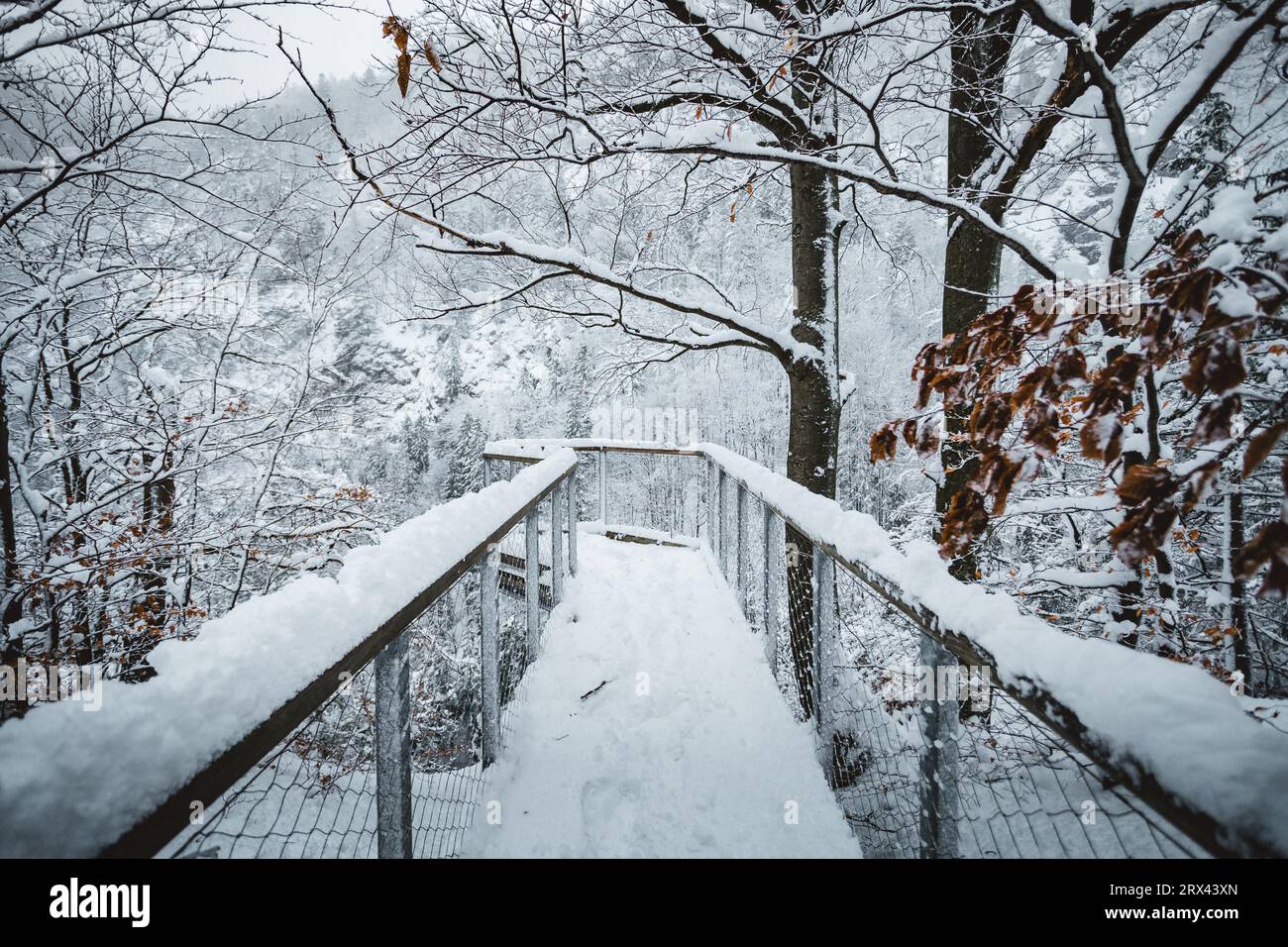 Gefrorener und schneebedeckter Aussichtspunkt (Ort) mit fantastischem Blick auf schneebedeckte Berge im kalten Winter. Holzweg mitten im Tal. Stockfoto