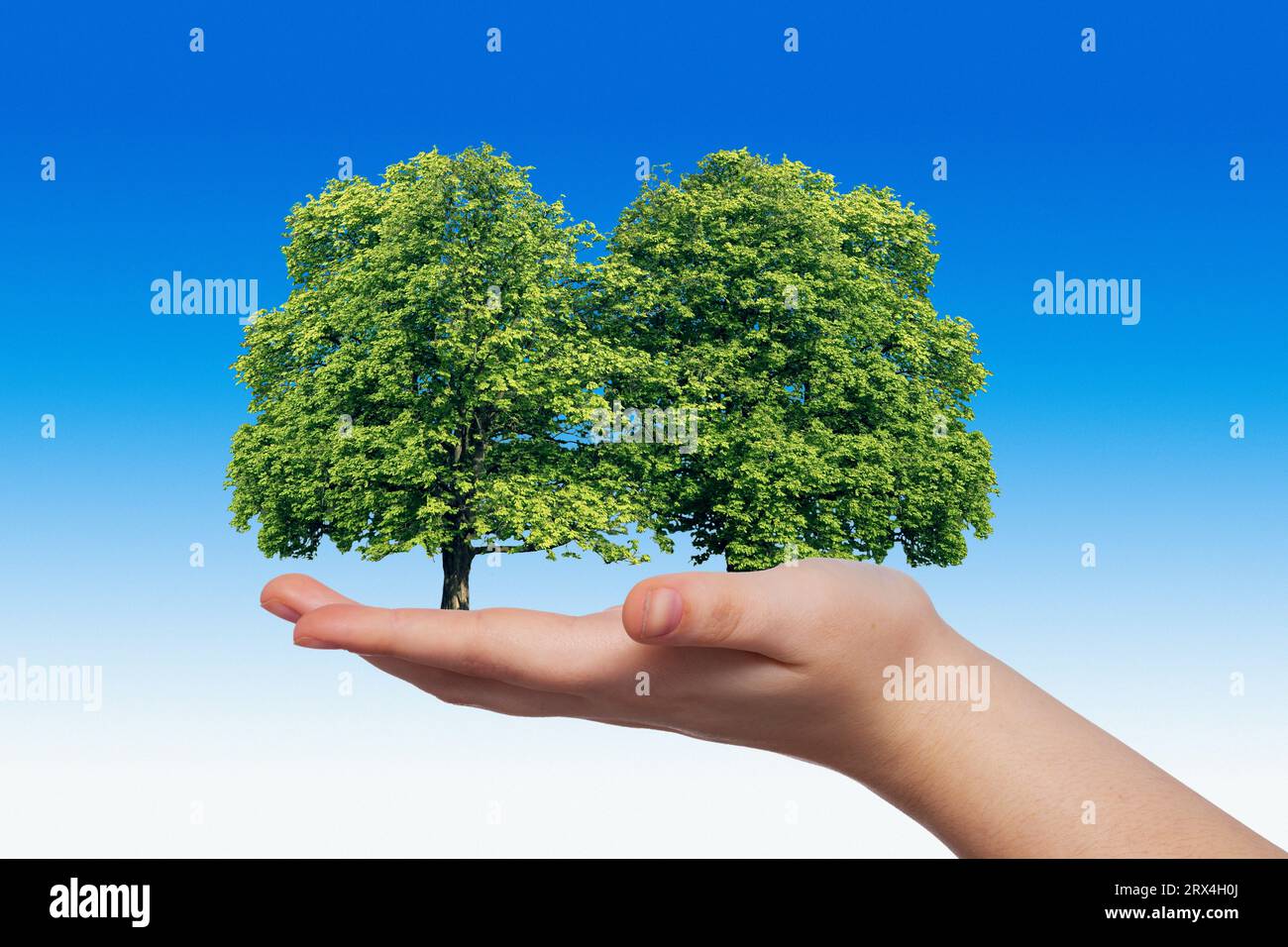 Umweltpflege, konzeptionelles Composite Image Stockfoto