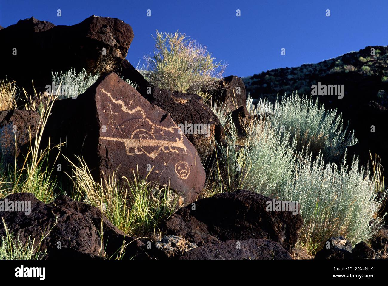 Petroglyph in Rinconada Canyon, Petroglyph National Monument, New Mexico Stockfoto