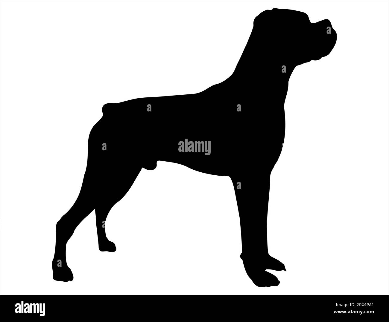 Boxer Hund Silhouette Vektor Kunst weißer Hintergrund Stock Vektor