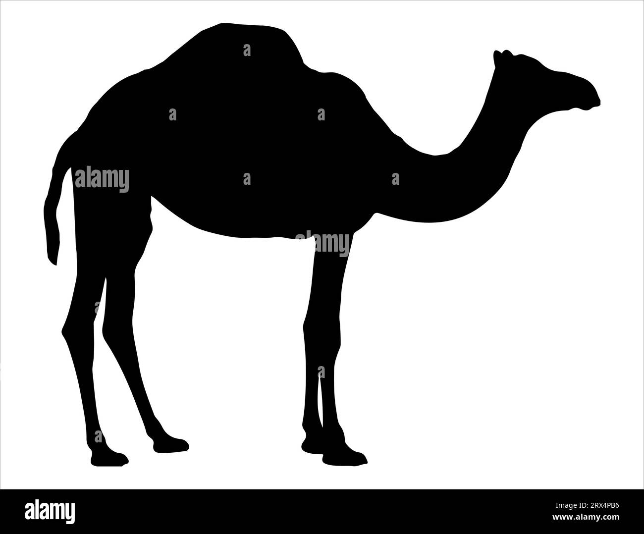 Kamel Silhouette Vektor Kunst weißer Hintergrund Stock Vektor