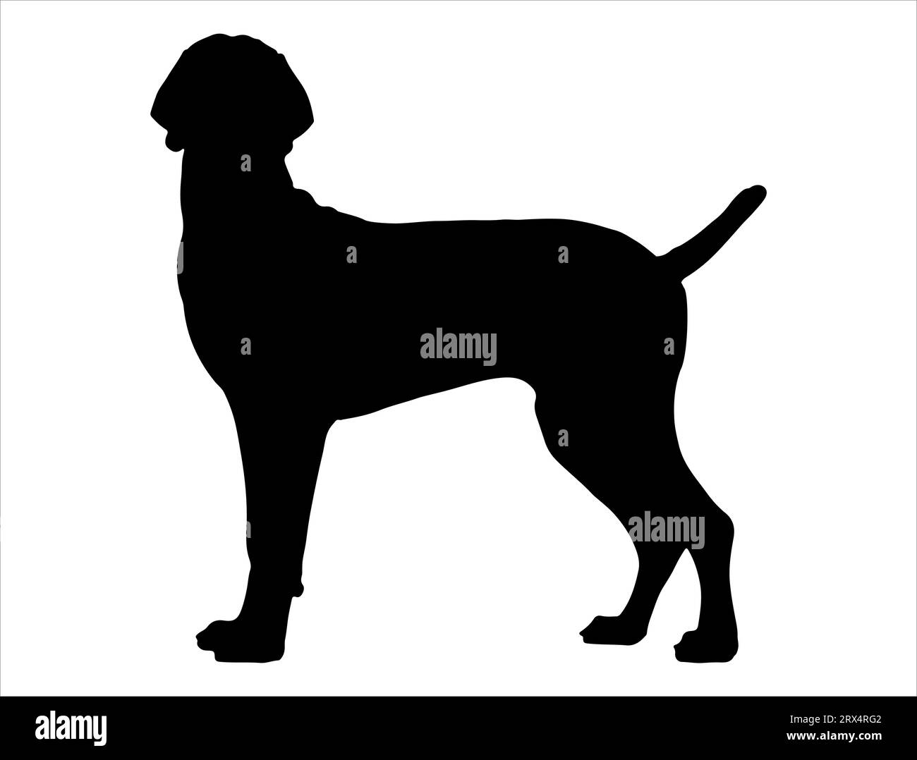 Große dane Silhouette Vektor Kunst weißer Hintergrund Stock Vektor