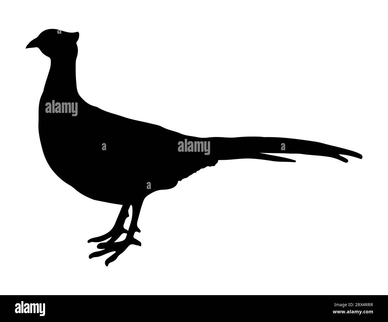 Fasan Silhouette Vektor Kunst weißer Hintergrund Stock Vektor