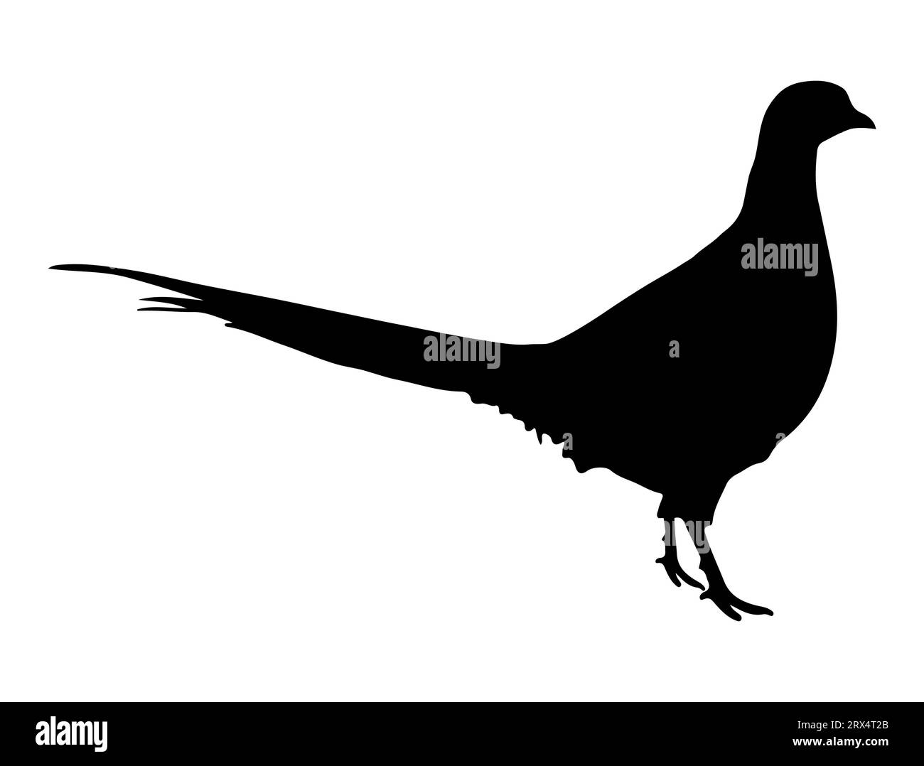 Fasan Silhouette Vektor Kunst weißer Hintergrund Stock Vektor