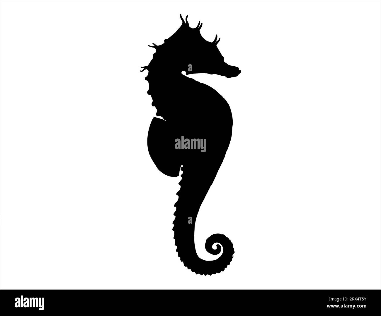 Seepferdchen-Silhouette-Vektor-Kunst weißer Hintergrund Stock Vektor