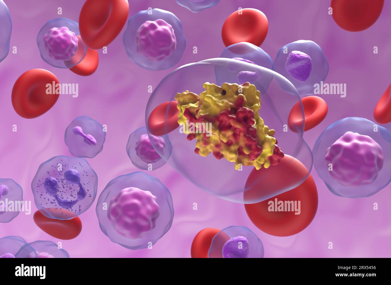 Kreatinkinase-Muskelenzym (CK-MM) im Blutfluss - Nahaufnahme 3D-Illustration Stockfoto