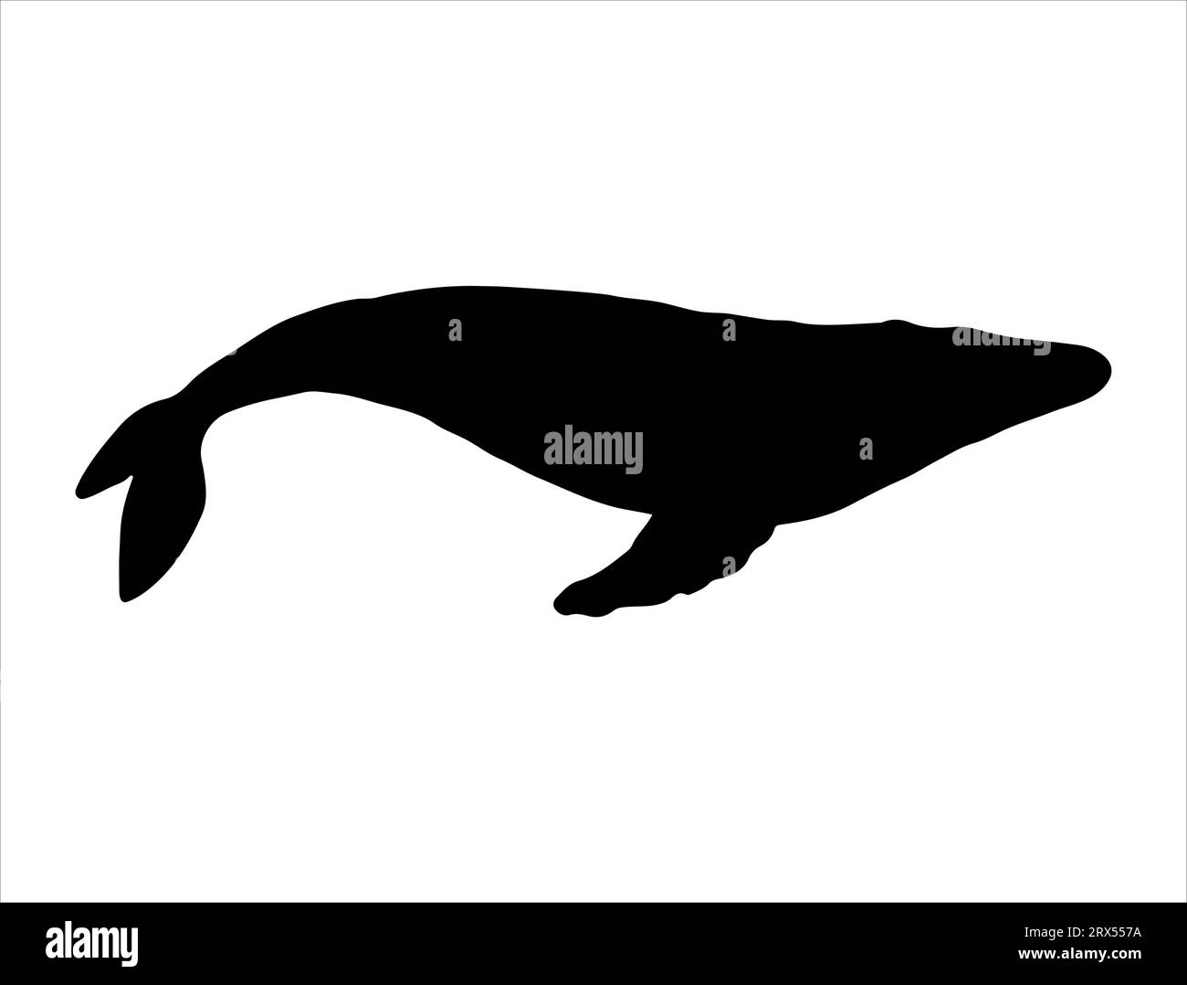 Buckelwal Silhouette Vektor Kunst weißer Hintergrund Stock Vektor