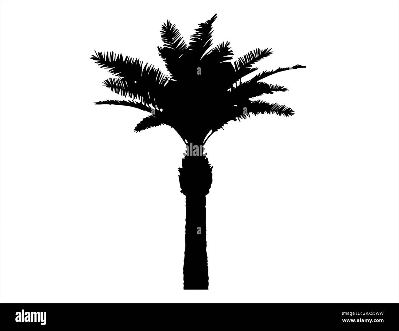Palme Silhouette Vektor Kunst weißer Hintergrund Stock Vektor
