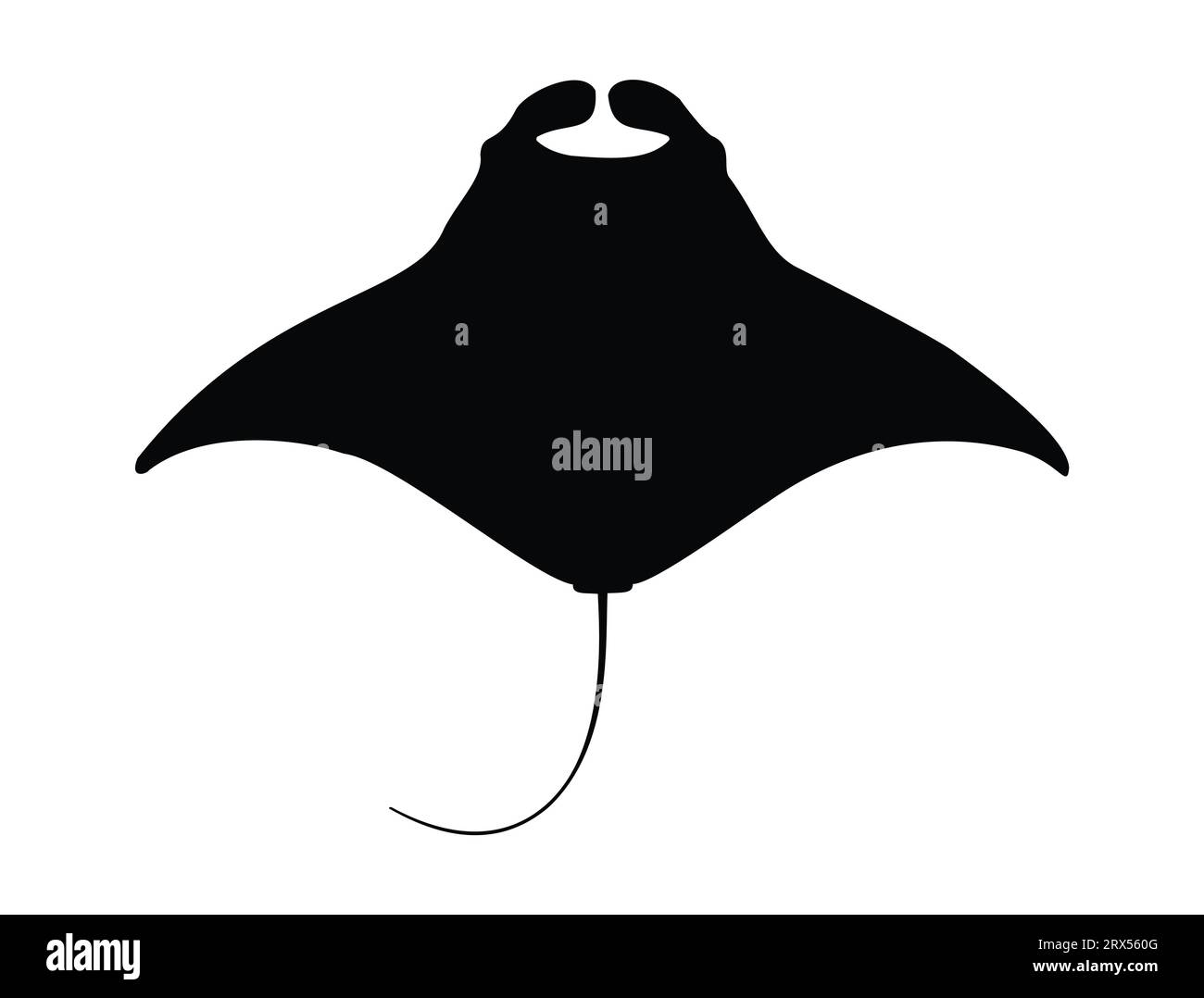 Manta ray Silhouette Vektor Kunst weißer Hintergrund Stock Vektor