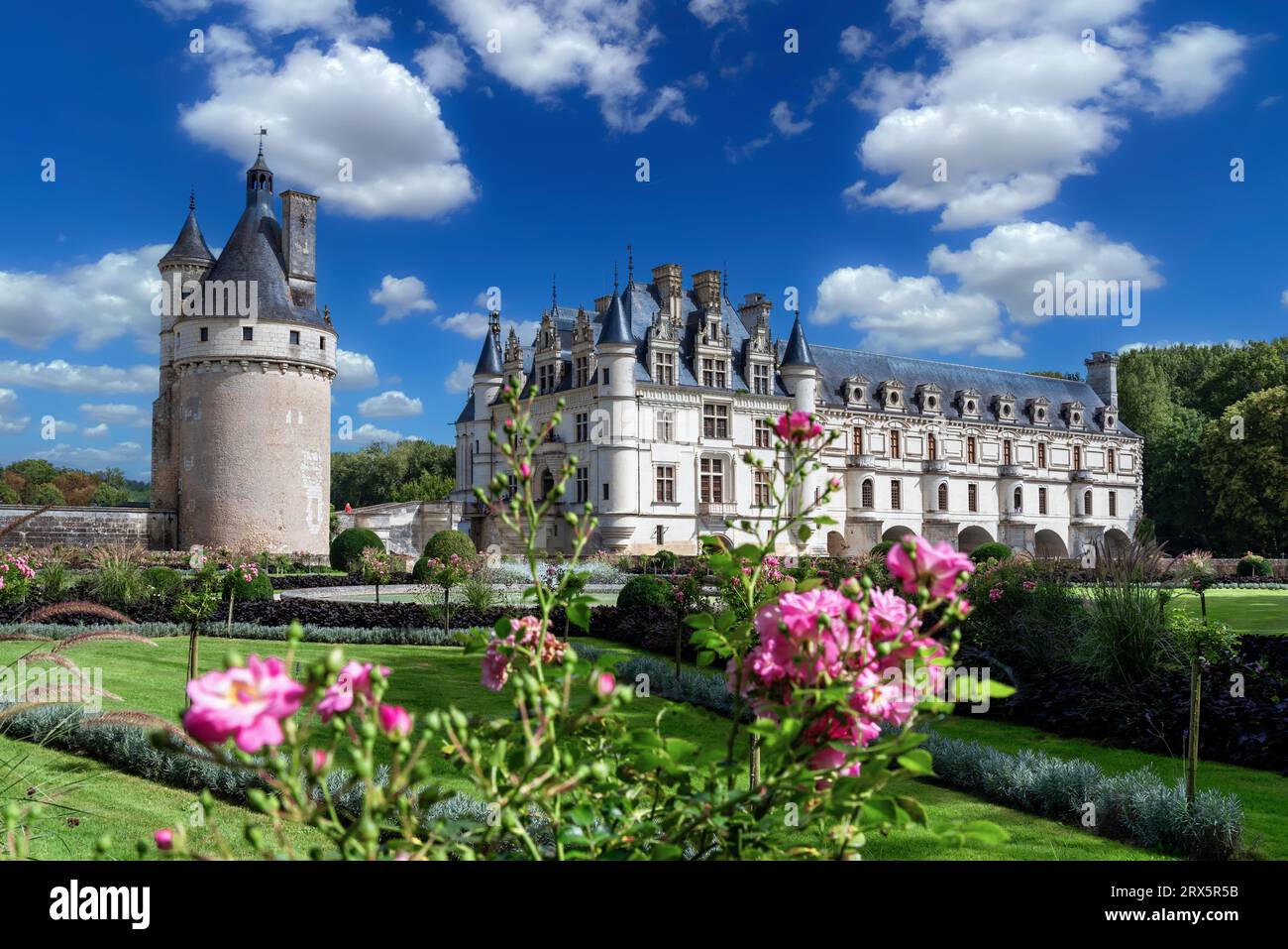 Blick auf das berühmte internationa Landmark, Schloss Chenonceau und den wunderschönen Blumengarten im Loire-Tal in Tours, Frankreich Stockfoto