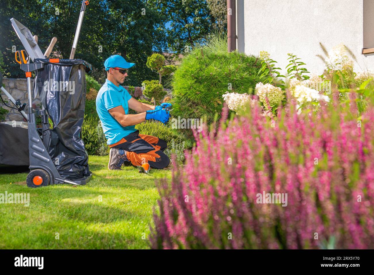 Kaukasischer Pro-Gardener-Arbeiter, der sich während der Spätsommersaison um den Garten kümmert. Stockfoto