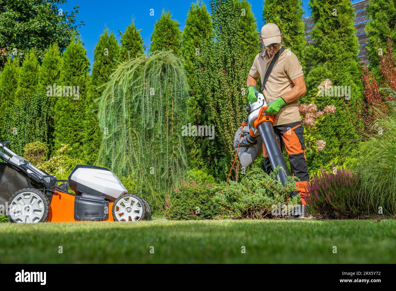 Hinterhofbesitzer mit einem elektrischen Garten, der seinen Hof saugt. Rasenpflege. Stockfoto