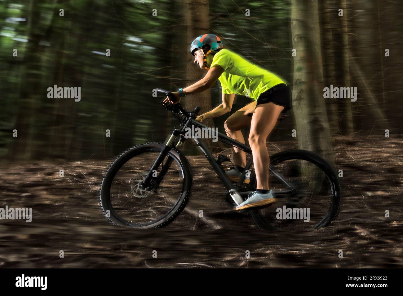 Abenteuerlicher Athlet, der mit dem Mountainbike im Wald fährt Stockfoto