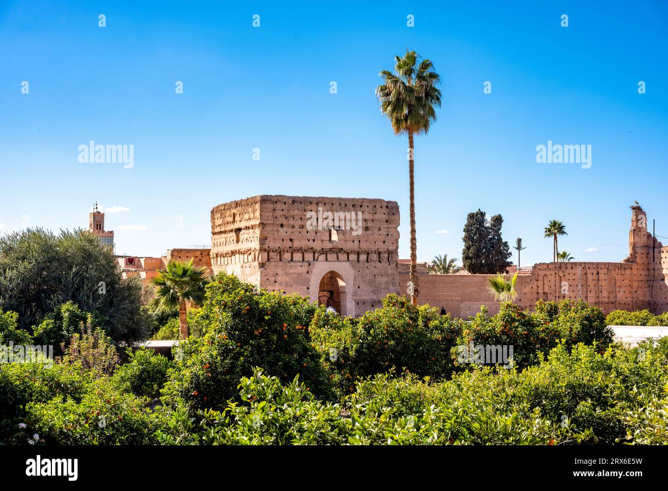 Marokko, Marrakesch-Safi, Marrakesch, grüne Bäume vor dem El Badi Palast Stockfoto