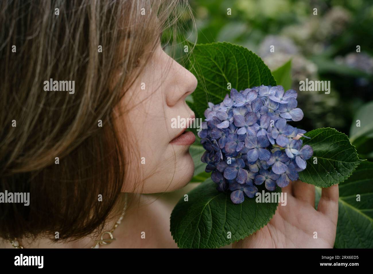 Junge Frau riecht Hortensienblüte im Garten Stockfoto